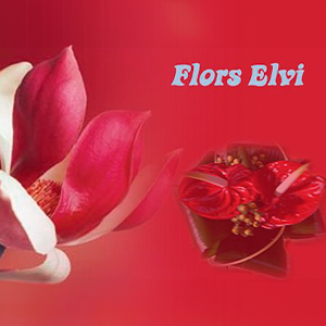 elvi